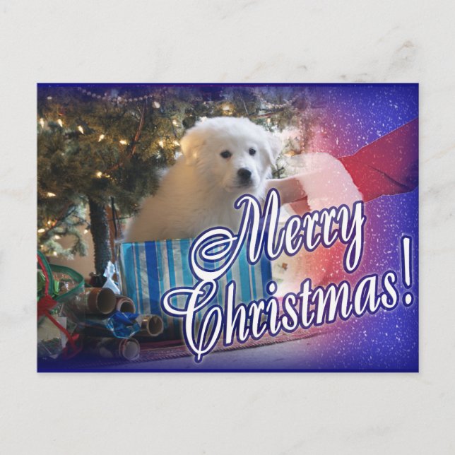 CARTES POUR FÊTES ANNUELLES PÈRE NOËL DE GRANDS PYRÉNÉES CHRISTMAS PUPPER CADE (Devant)