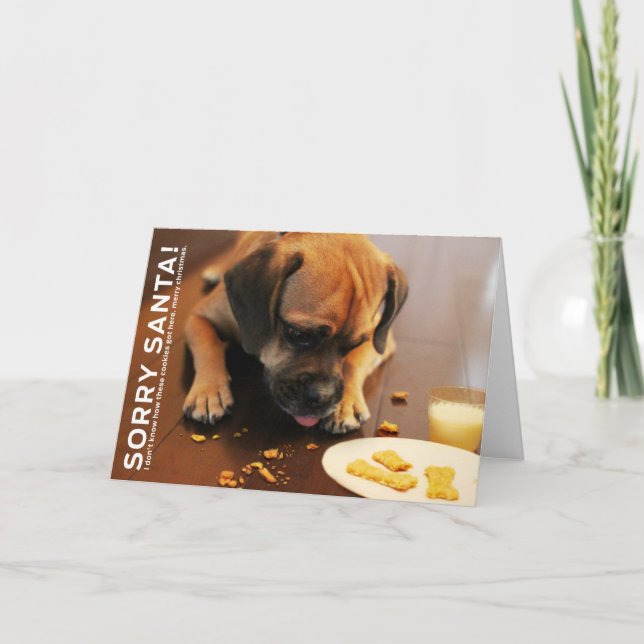 Cartes Pour Fêtes Annuelles Père Noël désolé (Devant)