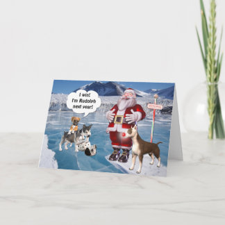 Cartes Pour Fêtes Annuelles Père Noël est un chien de bull-terrier
