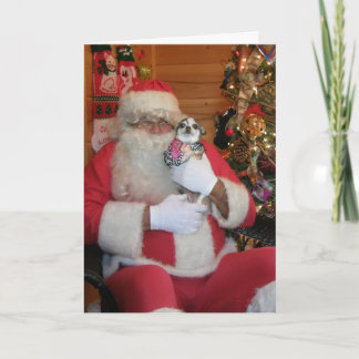 Cartes Pour Fêtes Annuelles Père Noël et chiwawa