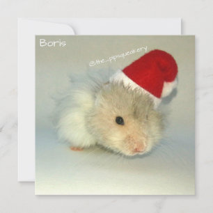 Cartes Pour Fêtes Annuelles Père Noël hamster !