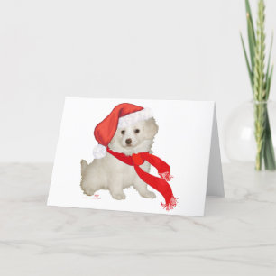 Cartes Pour Fêtes Annuelles Père Noël Helper Puppy Poodle / Bichon Mix