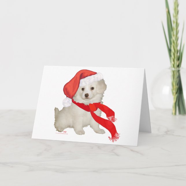 Cartes Pour Fêtes Annuelles Père Noël Helper Puppy Poodle / Bichon Mix (Devant)