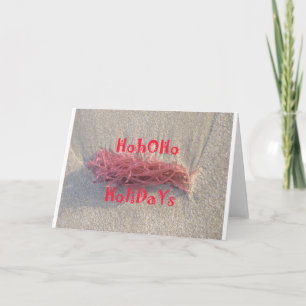 Cartes Pour Fêtes Annuelles Père Noël HoHoHo Joyeux Noël des couleurs de la pl