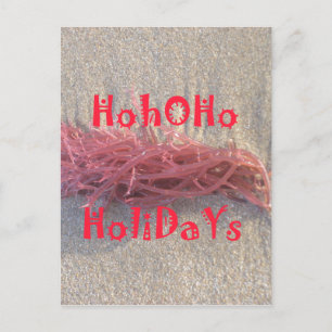 Cartes Pour Fêtes Annuelles Père Noël HoHoHo Joyeux Noël des couleurs de la pl