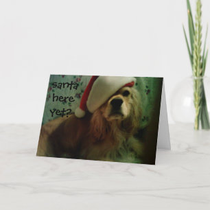 Cartes Pour Fêtes Annuelles père Noël ICI ENCORE ? COCKER SPANIEL LOVE