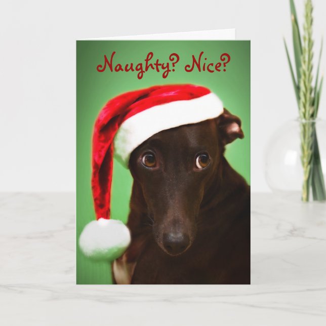 Cartes Pour Fêtes Annuelles Père Noël Jack (Devant)