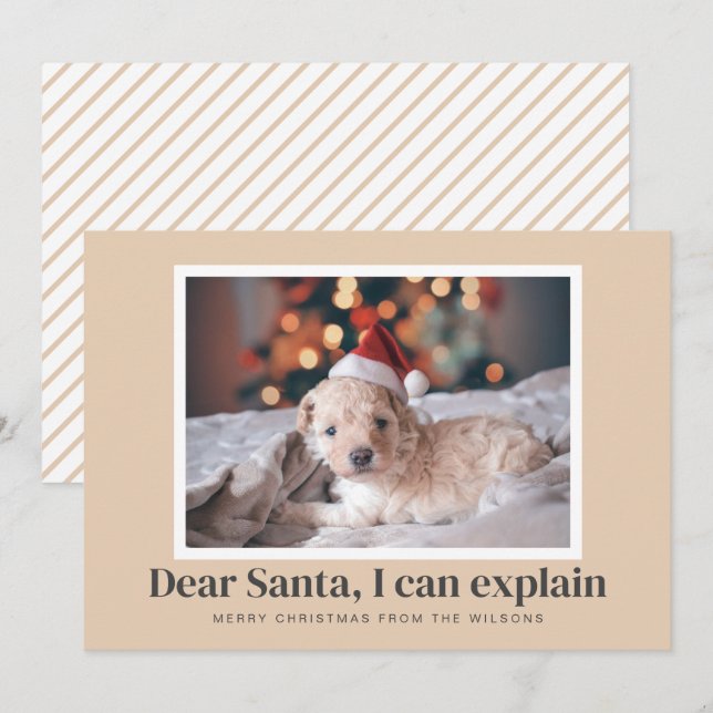 Cartes Pour Fêtes Annuelles Père Noël, Je Peux Expliquer Funny Photo Animaux (Devant / Derrière)