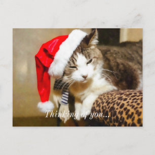 Cartes Pour Fêtes Annuelles Père Noël Kitty