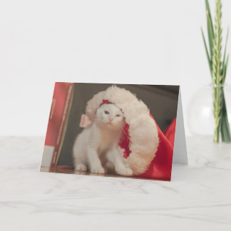 Cartes Pour Fêtes Annuelles Père Noël Kitty