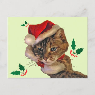 Cartes Pour Fêtes Annuelles Père Noël Kitty avec Holly