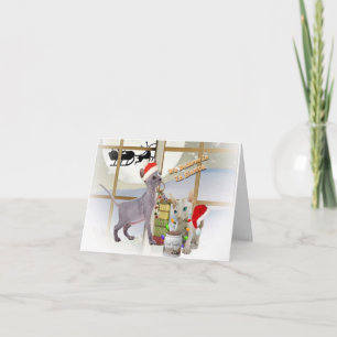 Cartes Pour Fêtes Annuelles Père Noël : la confiance de Sphynx Kitten