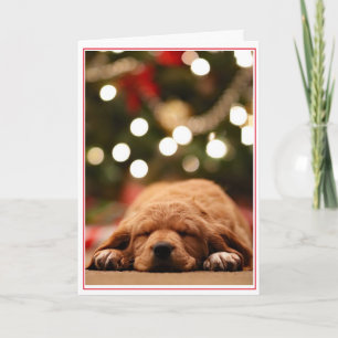 Cartes Pour Fêtes Annuelles Père Noël ne viendra-t-elle jamais ?