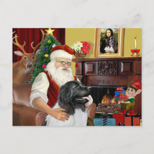 Cartes Pour Fêtes Annuelles père Noël Newfie Landseer
