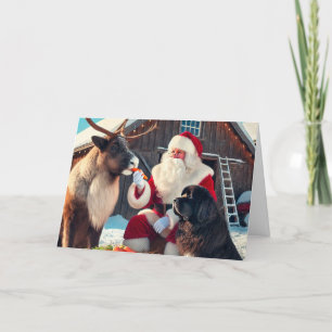 Cartes Pour Fêtes Annuelles Père Noël Nourriture Reindeen avec Newf Watching
