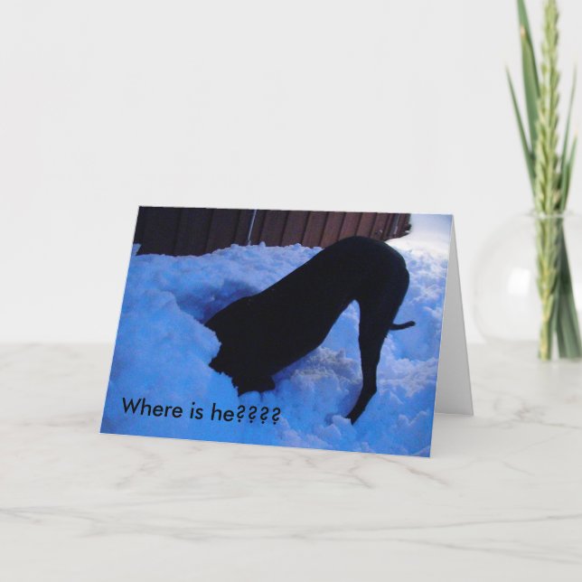 Cartes Pour Fêtes Annuelles Père Noël - Où est-il ? ? ? ? (Devant)