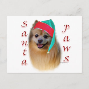 Cartes Pour Fêtes Annuelles Père Noël Paws