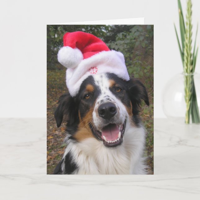 Cartes Pour Fêtes Annuelles "Père Noël Paws" (Devant)