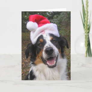 Cartes Pour Fêtes Annuelles "Père Noël Paws"