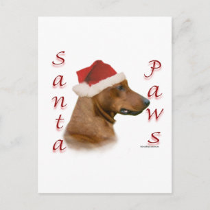Cartes Pour Fêtes Annuelles Père Noël Paws
