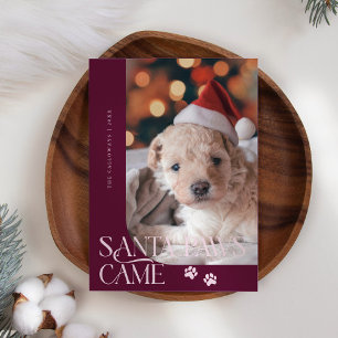 Cartes Pour Fêtes Annuelles Père Noël Paws Came Chien Photo Canneberge Noël