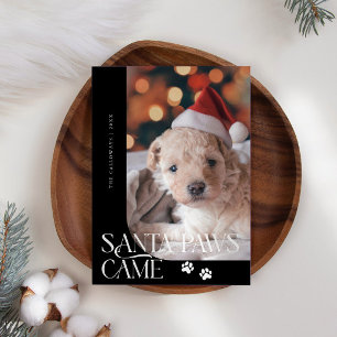 Cartes Pour Fêtes Annuelles Père Noël Paws Came Chien Photo Noir Noël