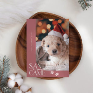 Cartes Pour Fêtes Annuelles Père Noël Paws Came Chien Photo Pink Noël