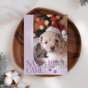 Cartes Pour Fêtes Annuelles Père Noël Paws Came Chien Photo Purple Noël