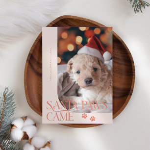 Cartes Pour Fêtes Annuelles Père Noël Paws Came Dog Photo Peach Noël