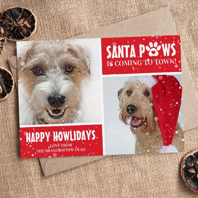 Cartes Pour Fêtes Annuelles Père Noël Paws Chien Photo Happy Howlidays Noël (Créateur téléchargé)