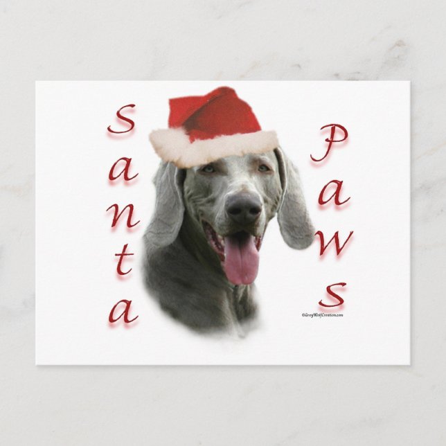 Cartes Pour Fêtes Annuelles Père Noël Paws de Weimaraner (Devant)