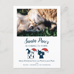 Cartes Pour Fêtes Annuelles père Noël Paws   Funny Chat et Chien Photo pour an