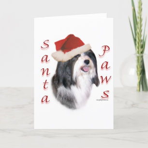 Cartes Pour Fêtes Annuelles Père Noël Paws Havanais