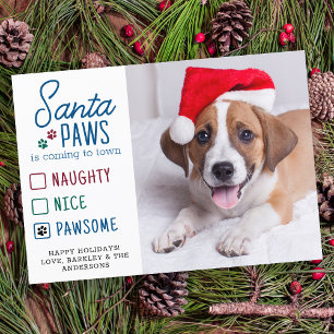 Cartes Pour Fêtes Annuelles Père Noël Paws Naughty Nice Pawsome Pet Chien phot