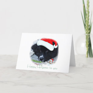 Cartes Pour Fêtes Annuelles père Noël Paw's Newfoundland