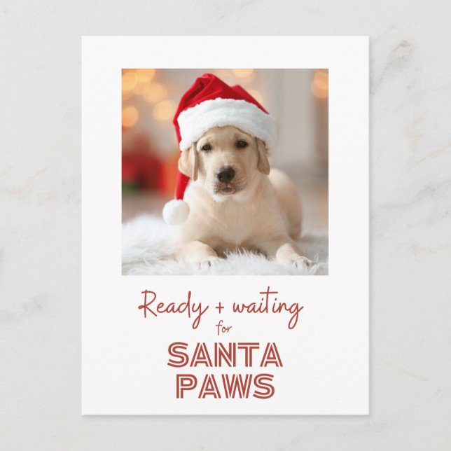 Cartes Pour Fêtes Annuelles Père Noël Paws - Noël Amoureux des chiens (Devant)