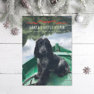 Cartes Pour Fêtes Annuelles Père Noël Petit Yelper mignon chien photo de Noël