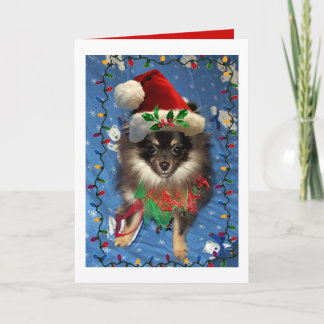CARTES POUR FÊTES ANNUELLES PÈRE NOËL POMERANIENNE