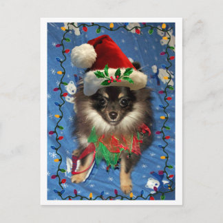CARTES POUR FÊTES ANNUELLES PÈRE NOËL POMERANIENNE