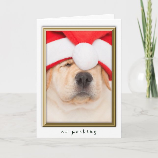 Cartes Pour Fêtes Annuelles Père Noël Puppy No Peeking (Devant)