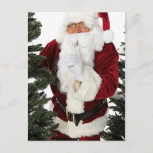 Cartes Pour Fêtes Annuelles Père Noël secrète