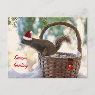 Cartes Pour Fêtes Annuelles Père Noël Squirrel dans le panier de Noël enneigé