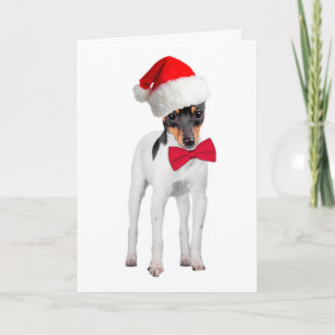 Cartes Pour Fêtes Annuelles père Noël Toy Fox Terrier Christmas Card