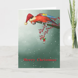 Cartes Pour Fêtes Annuelles Perroquet de Noël