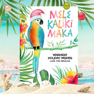 Cartes Pour Fêtes Annuelles Perruche Tropicale Santa Mele Kalikimaka Hawaïen