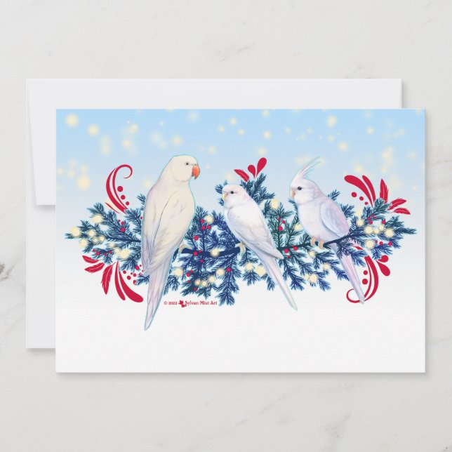 Cartes Pour Fêtes Annuelles Perruches de Noël blanches (Devant)