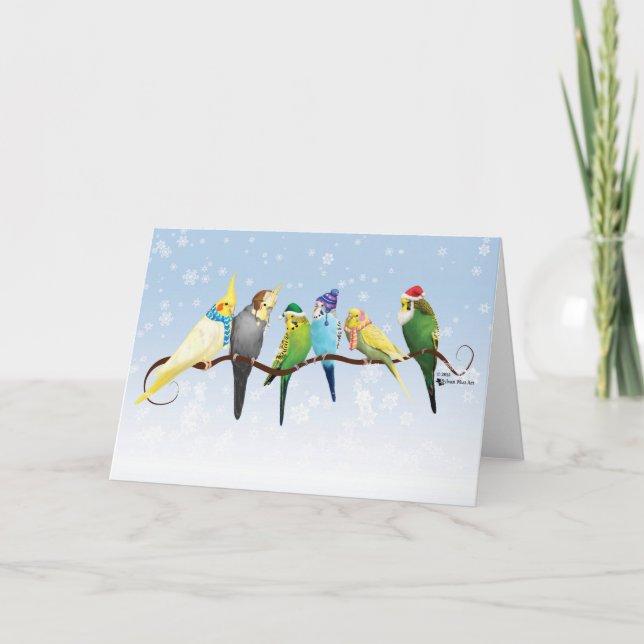 Cartes Pour Fêtes Annuelles Perruques d'hiver et Cockatiels (Devant)