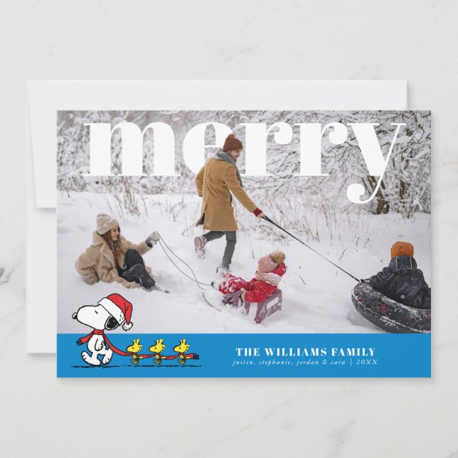 Cartes Pour Fêtes Annuelles Personalized Photo Holiday Snoopy & Friends (Devant)