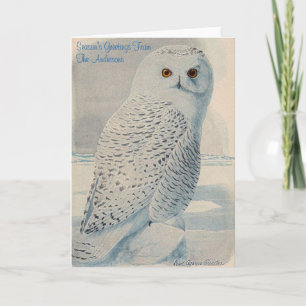 Cartes Pour Fêtes Annuelles Personalized Snowy Owl Christmas Card