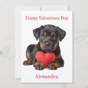 Cartes Pour Fêtes Annuelles Personnaliser Rottweiler Puppy Valentine